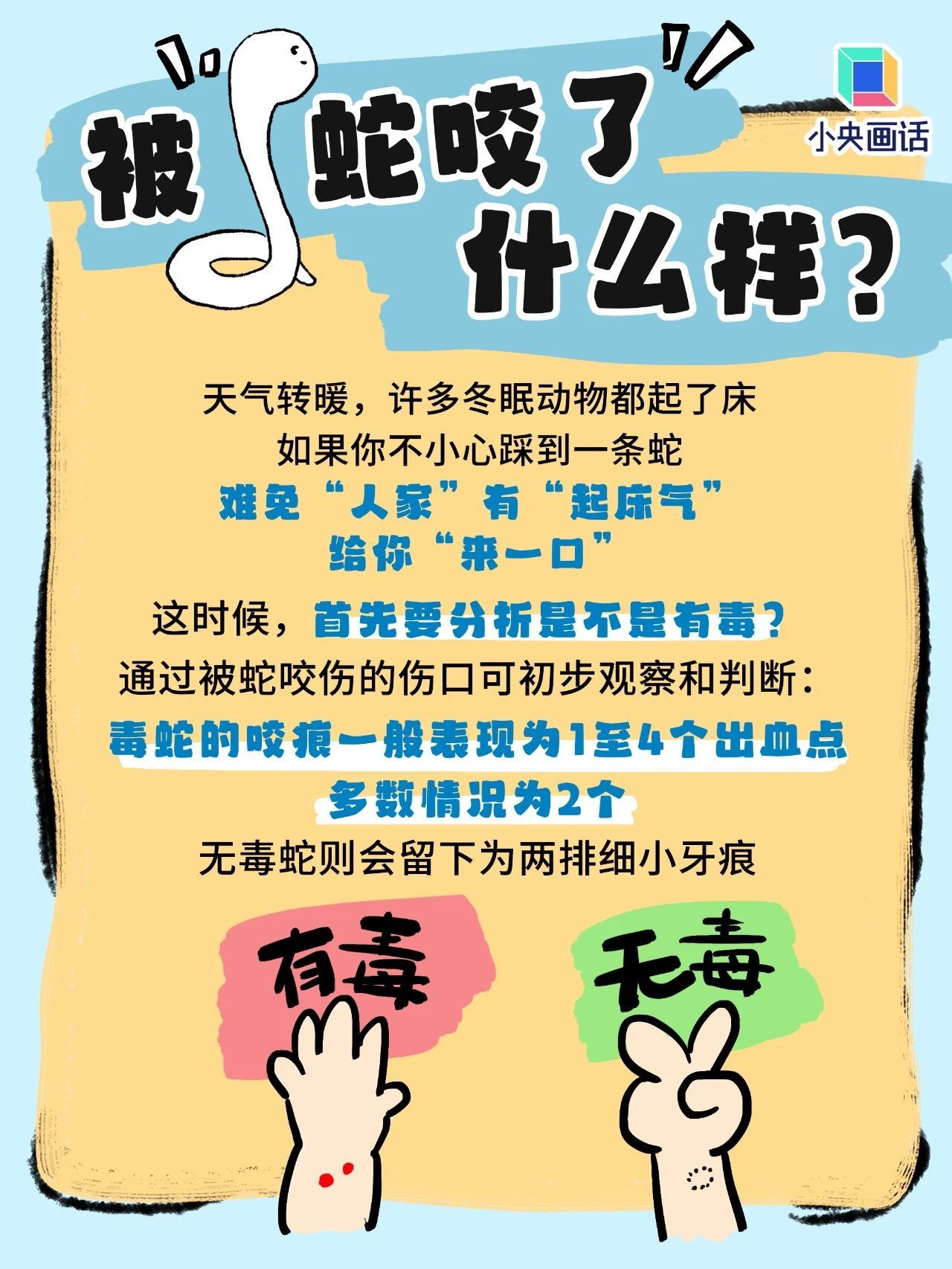 如果不幸被蛇咬了,千万别学影视剧里那一套 如果不幸被蛇咬了,千万别学影视剧里那一套