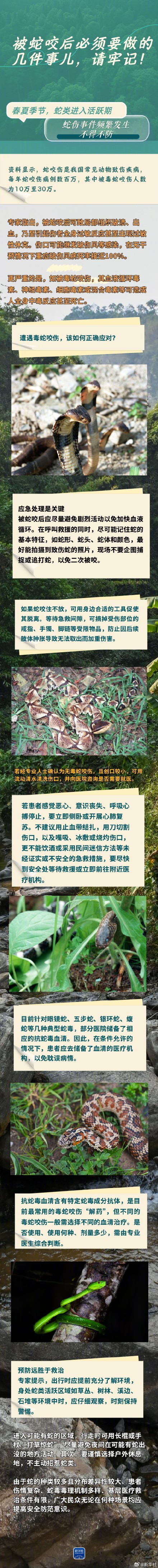 请牢记！被蛇咬后必须要做的几件事