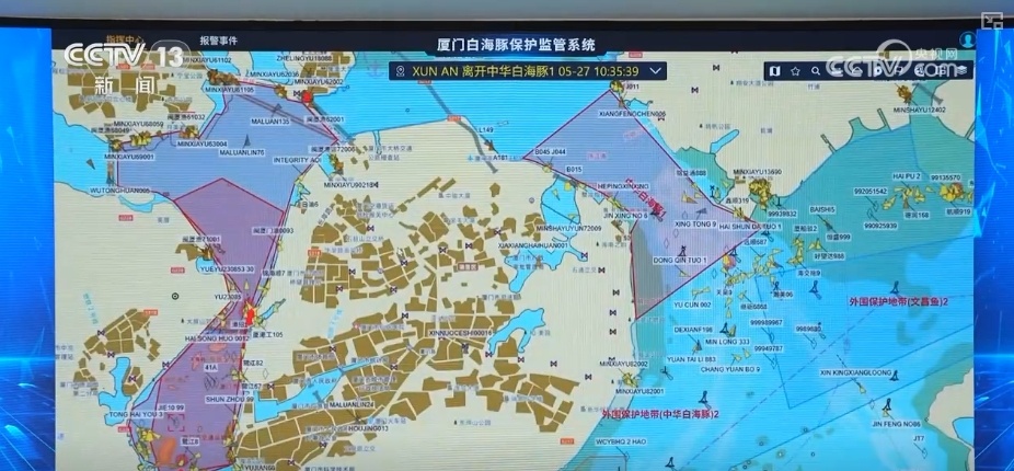 生态保护向“智”向“新” 白海豚有了高科技“保镖” 生态保护向“智”向“新” 白海豚有了高科技“保镖”