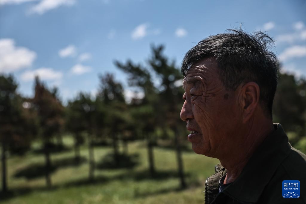 父女两代人见证沙地披绿装 父女两代人见证沙地披绿装