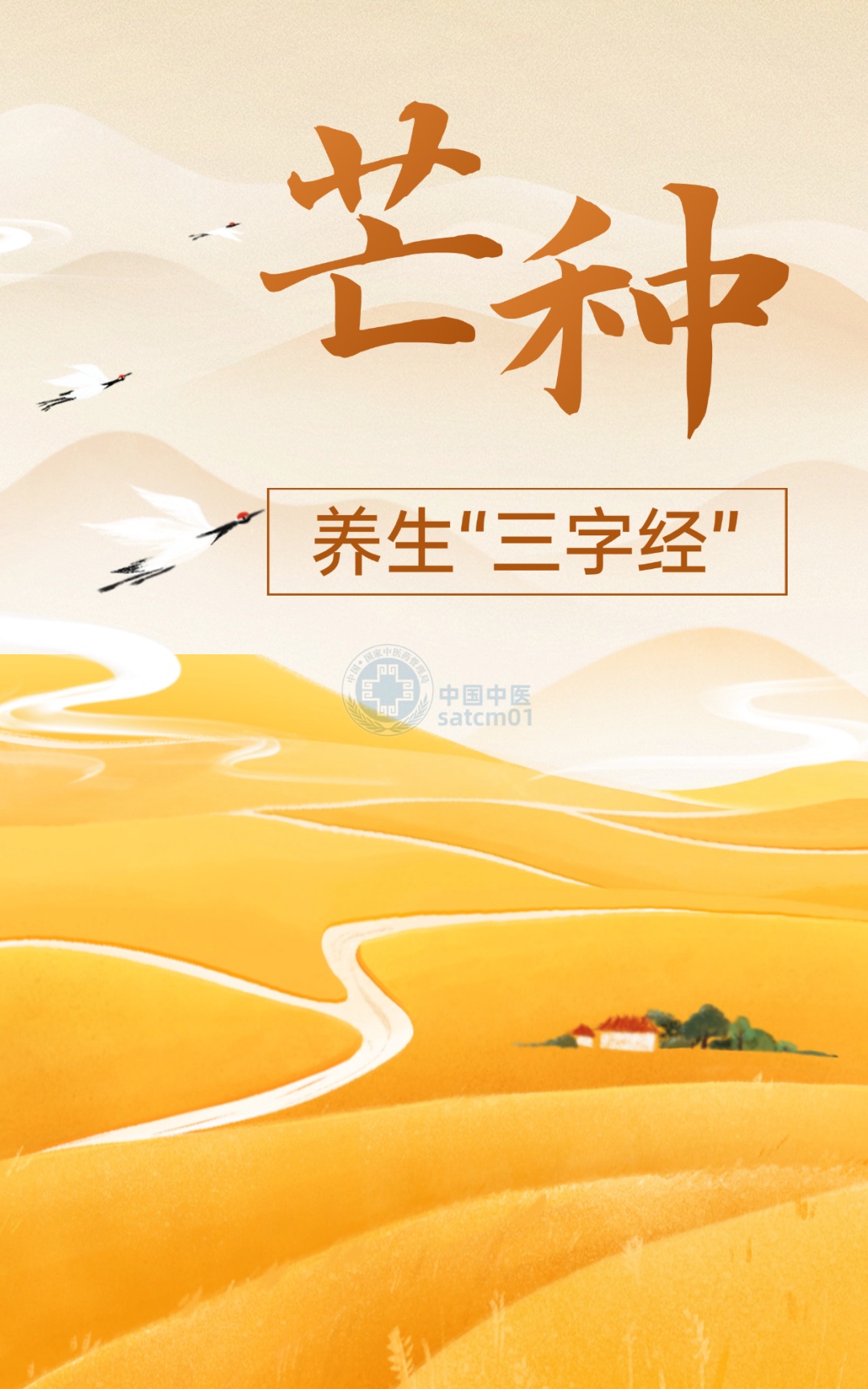 今日芒种,收下这份养生“三字经” 今日芒种,收下这份养生“三字经”