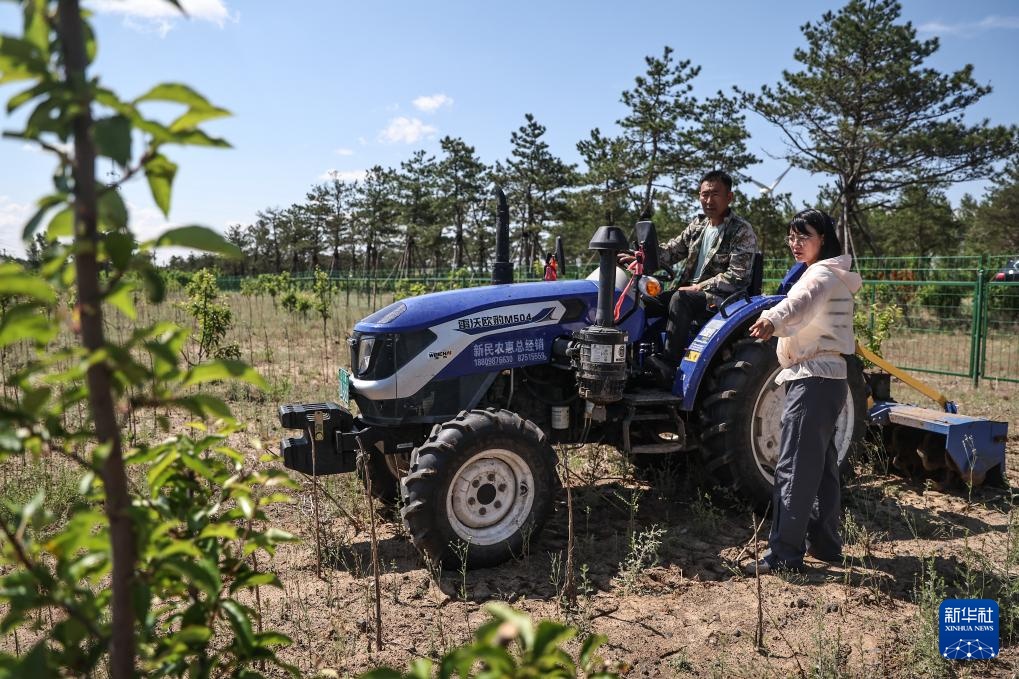 父女两代人见证沙地披绿装 父女两代人见证沙地披绿装