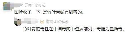 男子在东莞湖边被蛇咬伤,忍痛拍下蛇的照片…… 男子在东莞湖边被蛇咬伤,忍痛拍下蛇的照片……