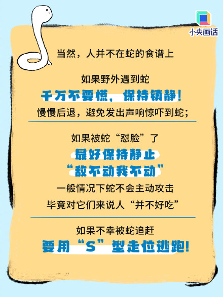 被蛇咬伤后尽量给它拍张照 被蛇咬伤后尽量给它拍张照
