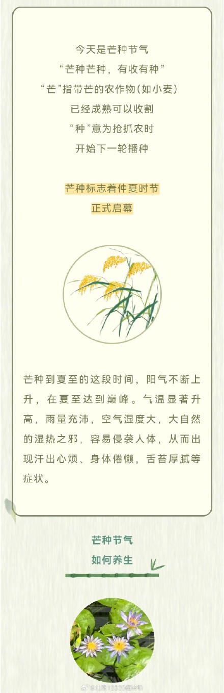 仲夏开启，暑热来袭，养生要点您看这儿