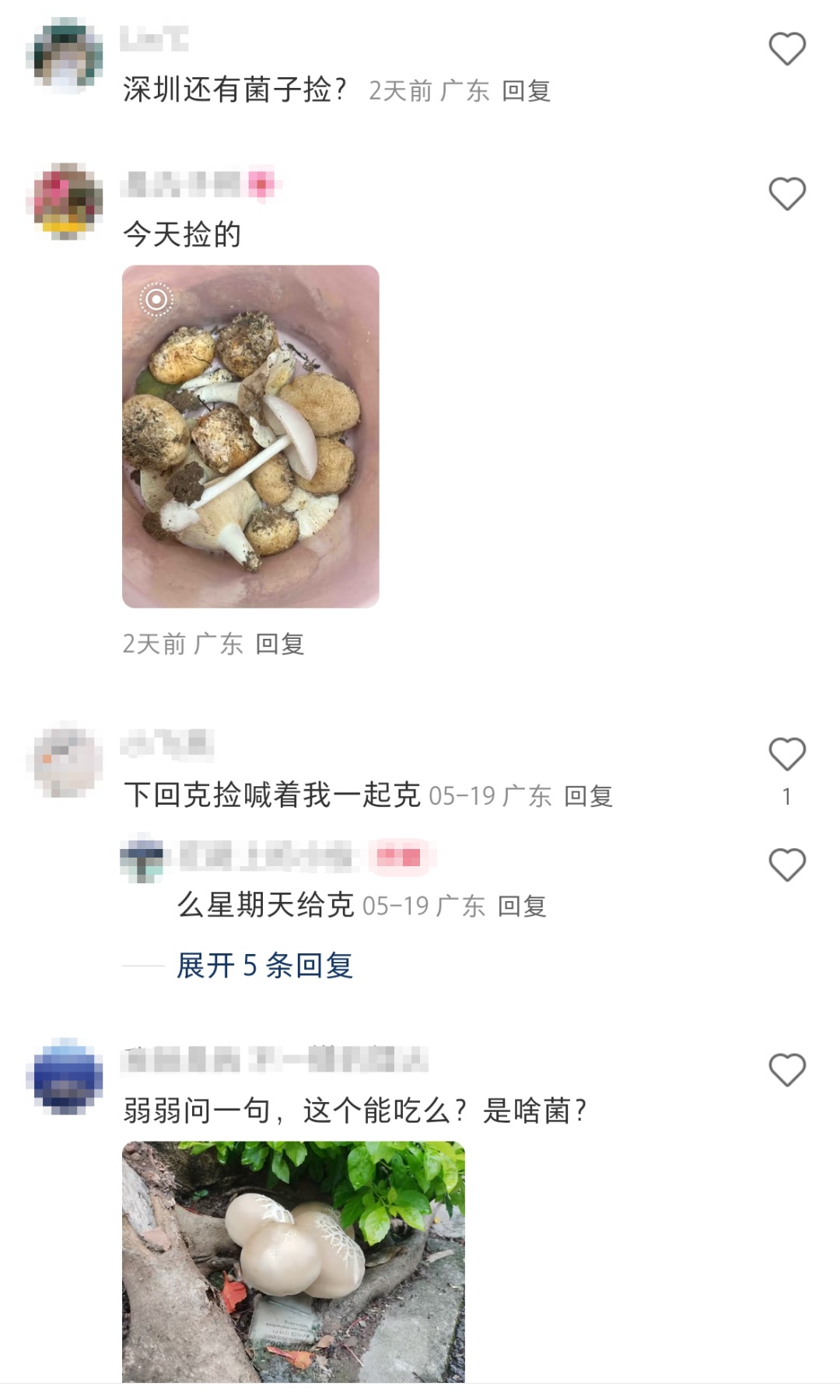 深圳多人组团采野蘑菇？官方回应