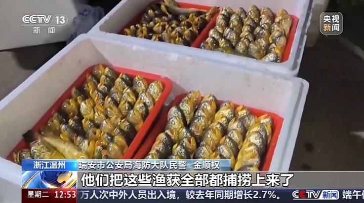 休闲渔船上“游客”举止异常，暗藏何种玄机？