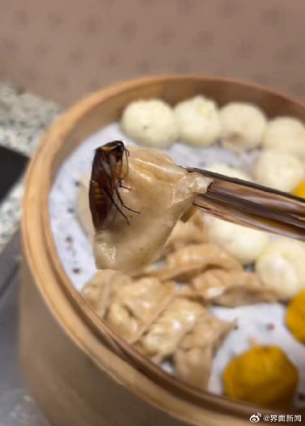 游客在长沙桔子酒店吃出蟑螂，酒店方回应：已在配合调查