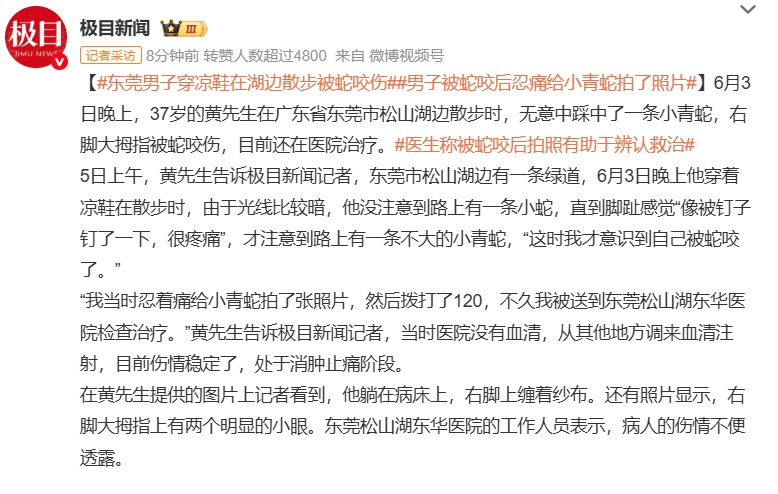 随意放生“五步蛇”？被毒蛇咬伤，这一动作能“保命”