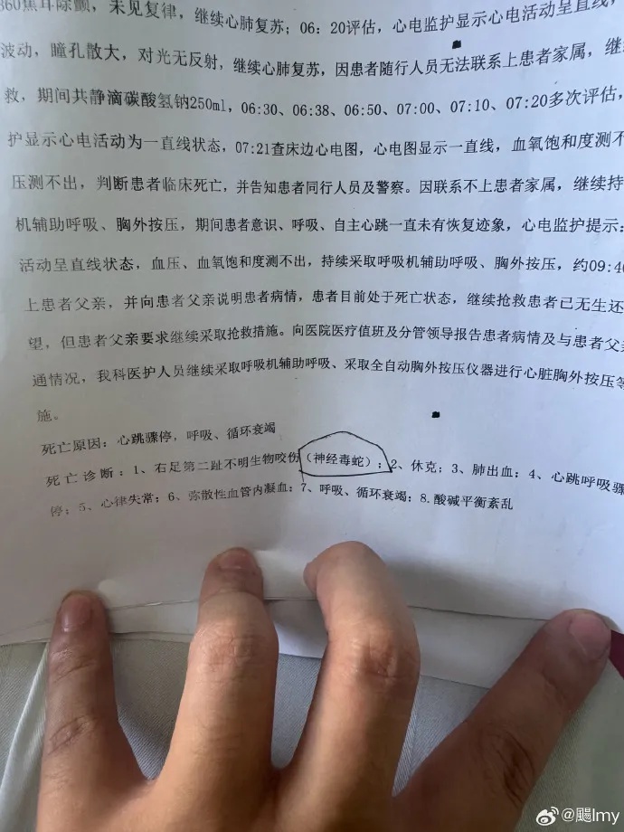 三亚身亡女游客弟弟发文：尸检已有死亡诊断，确认为神经毒蛇咬伤