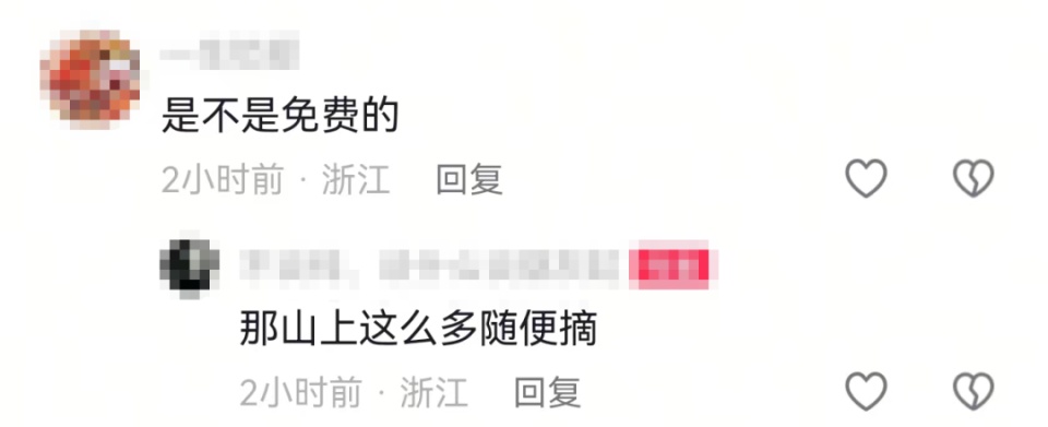 杭州多人冒险上山疯抢,爬树5米高!随便摘不要钱?官方回应 杭州多人冒险上山疯抢,爬树5米高!随便摘不要钱?官方回应