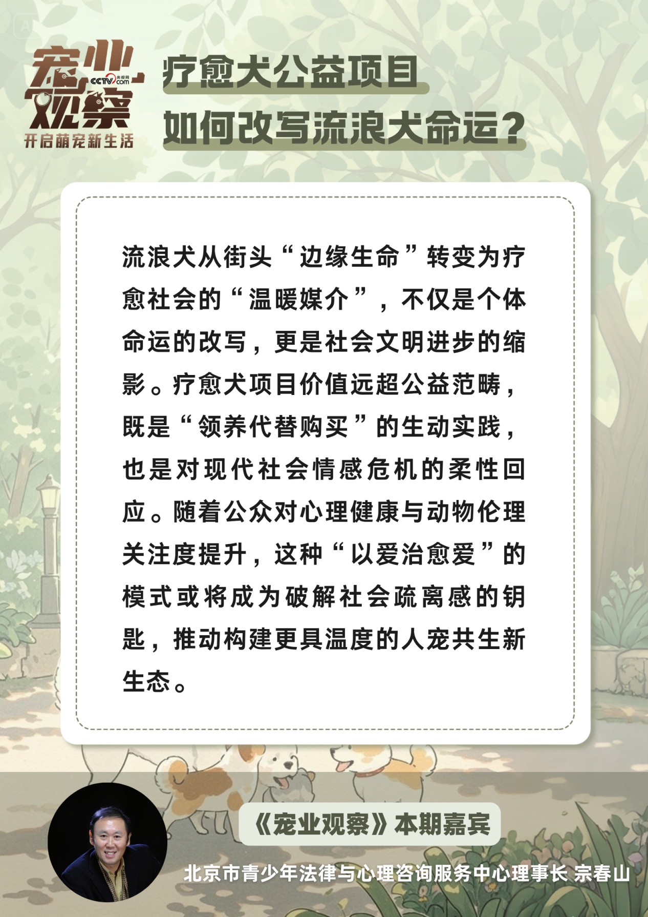 图说 | 疗愈犬公益项目,如何改写流浪狗狗的命运? 图说 | 疗愈犬公益项目,如何改写流浪狗狗的命运?