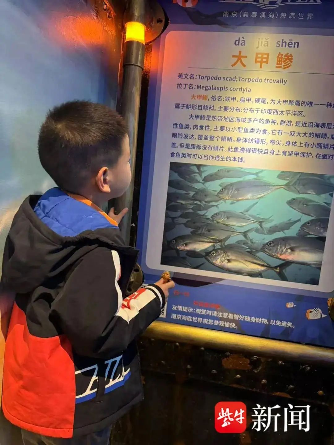 二年级男孩给语文课本挑错，人教社回信了！