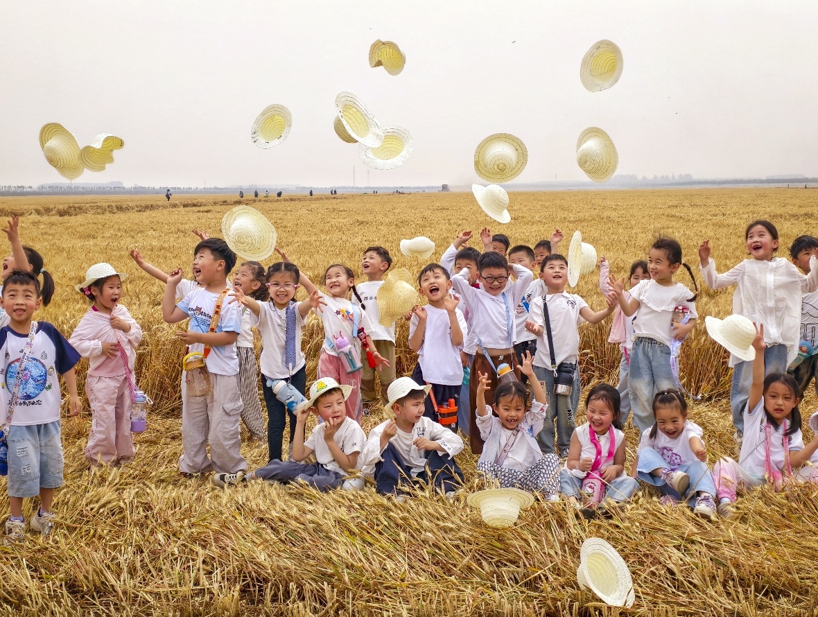 到麦田里“上学”去