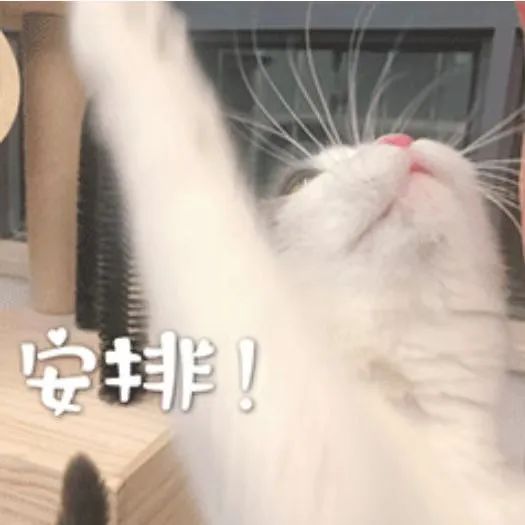 毕业生住宿不花一分钱的方法找到了！