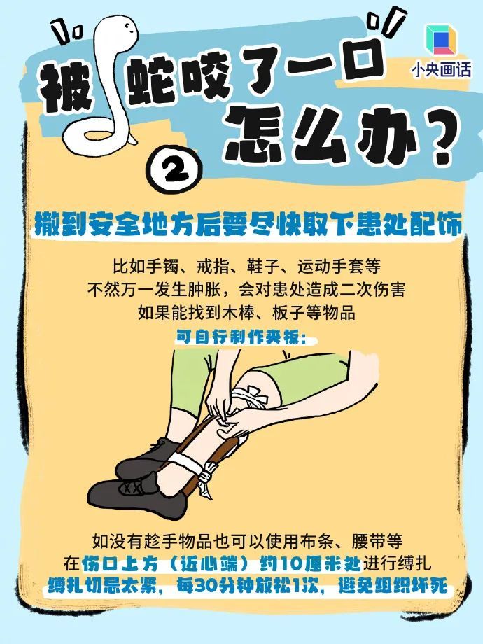 男子遭不明毒蛇咬伤,心跳骤停!然而抢救陷入僵局…… 男子遭不明毒蛇咬伤,心跳骤停!然而抢救陷入僵局……