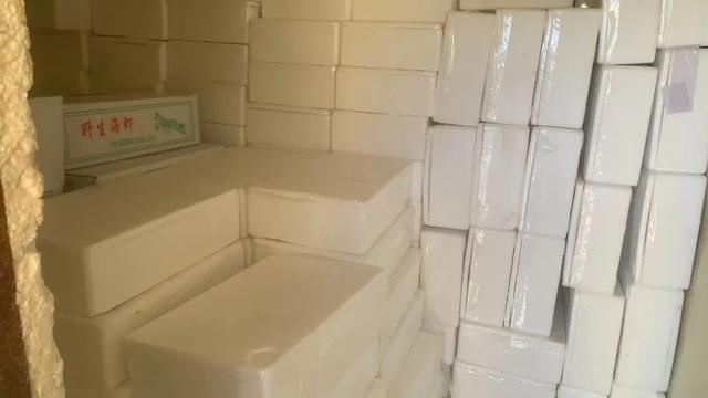 禁渔期威海市惊现“蟹霸王”!七人强卖3000元劣质蟹被铐! 禁渔期威海市惊现“蟹霸王”!七人强卖3000元劣质蟹被铐!