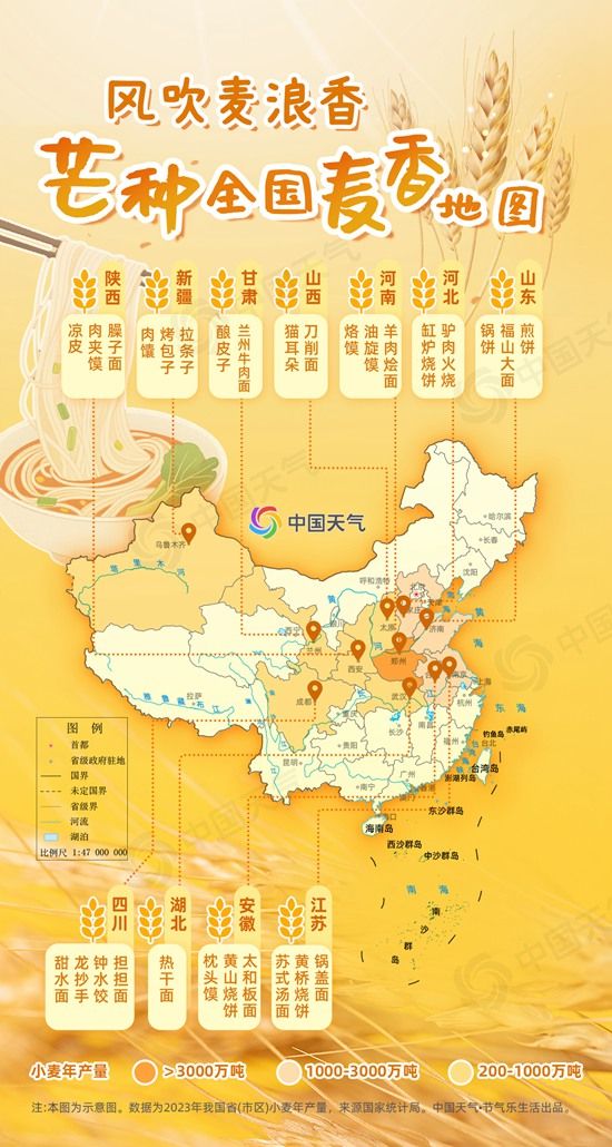 芒种麦香地图里的烟火人间 哪碗面食戳中你的乡愁？