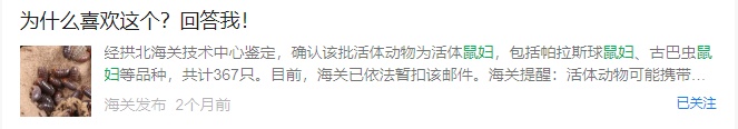 “食品蛋糕”中查获165只活体生物！网友：头皮发麻