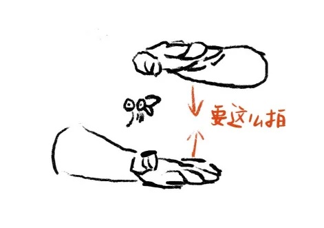 花蚊子密度已处于快速上升期,中疾控:广东存在登革热传播扩散风险,需重点防范 花蚊子密度已处于快速上升期,中疾控:广东存在登革热传播扩散风险,需重点防范