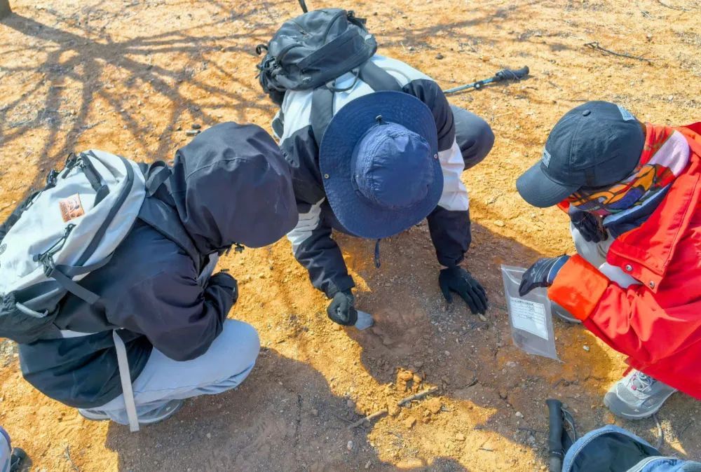 辽宁考古又有重大发现