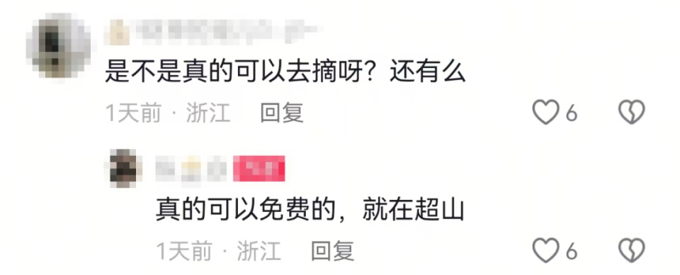 杭州多人冒险上山疯抢,爬树5米高!随便摘不要钱?官方回应 杭州多人冒险上山疯抢,爬树5米高!随便摘不要钱?官方回应