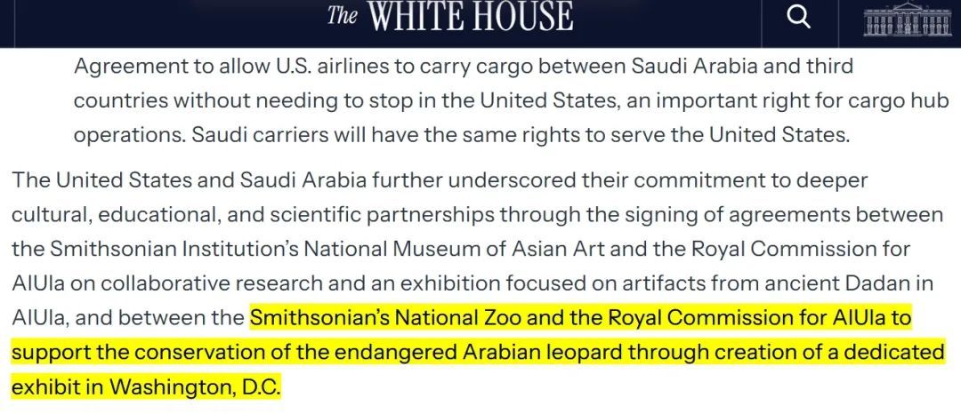 特朗普迎来动物外交：沙特将送两只“大猫咪”去美国首都