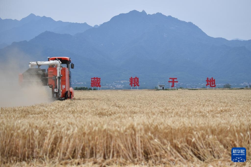 西安长安:神禾塬上麦收忙 西安长安:神禾塬上麦收忙