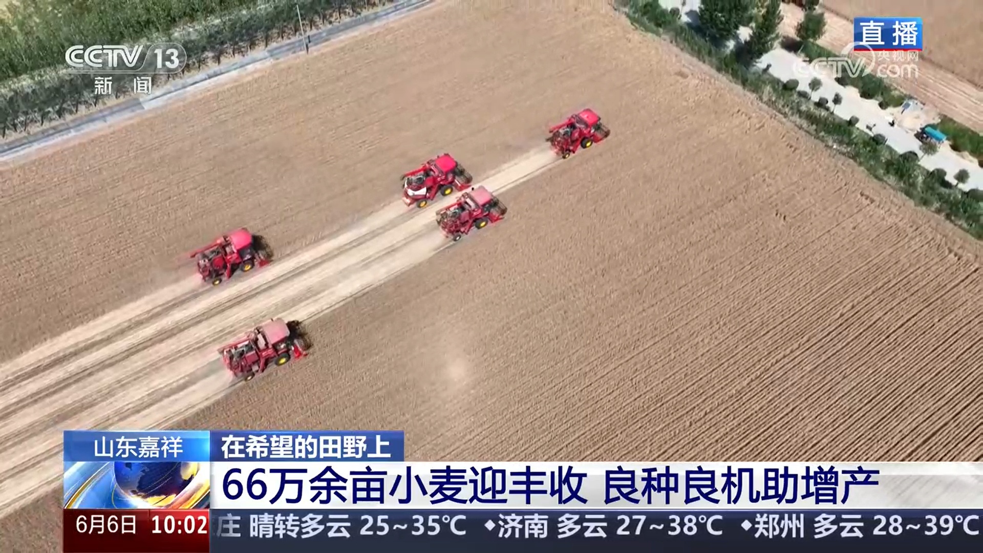 三夏抢收抢种忙：小麦机收 良种良机助增产 水稻种植 智慧种田促增收