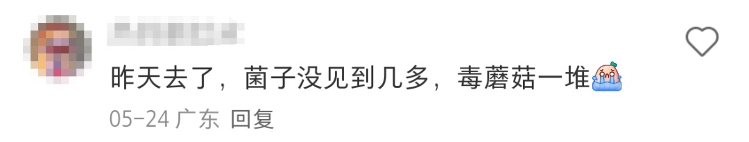 深圳多人组团采野蘑菇？官方回应