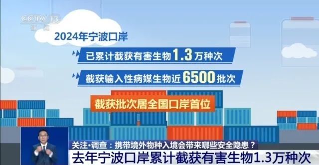 你知道吗?养“异宠”或将危害国家安全 你知道吗?养“异宠”或将危害国家安全