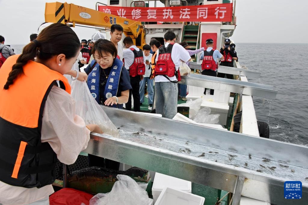 山东青岛:增殖放流 修复生态 山东青岛:增殖放流 修复生态