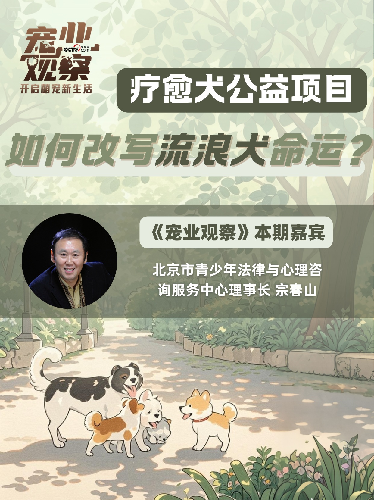 图说 | 疗愈犬公益项目,如何改写流浪狗狗的命运? 图说 | 疗愈犬公益项目,如何改写流浪狗狗的命运?
