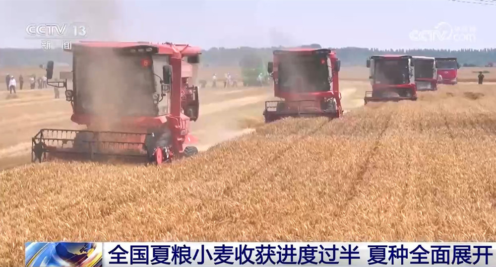 共享晒粮点、快速烘干 、24小时为农服务 各地推出暖心举措服务夏收 共享晒粮点、快速烘干 、24小时为农服务 各地推出暖心举措服务夏收