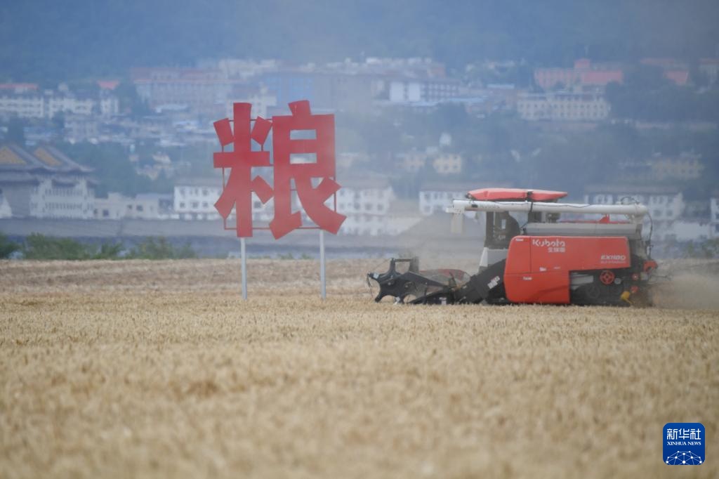 西安长安:神禾塬上麦收忙 西安长安:神禾塬上麦收忙