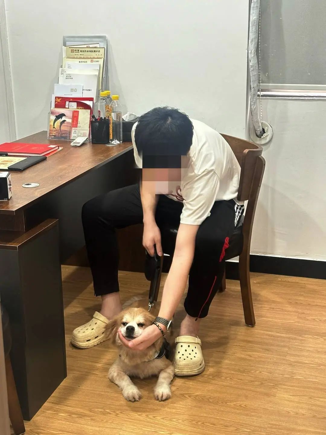 阿姨立遗嘱,留给爱犬十几万!宠物也能当“继承人”?专家分析 阿姨立遗嘱,留给爱犬十几万!宠物也能当“继承人”?专家分析