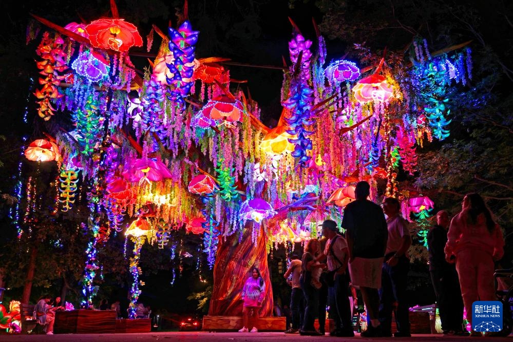 新华全媒+丨从“彩灯之乡”到“恐龙工厂”——自贡制造走向全球 新华全媒+丨从“彩灯之乡”到“恐龙工厂”——自贡制造走向全球