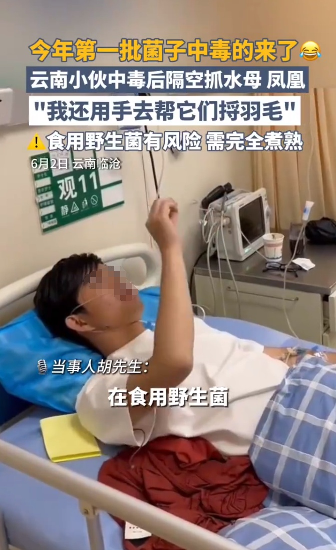 深圳多人组团采野蘑菇？官方回应