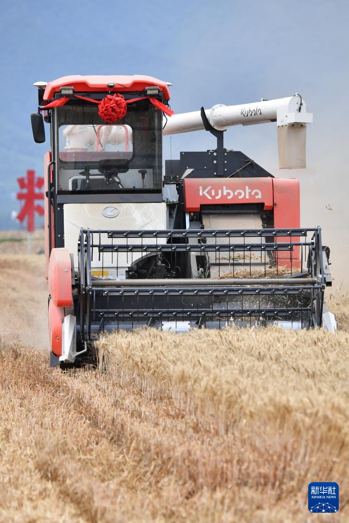 西安长安:神禾塬上麦收忙 西安长安:神禾塬上麦收忙