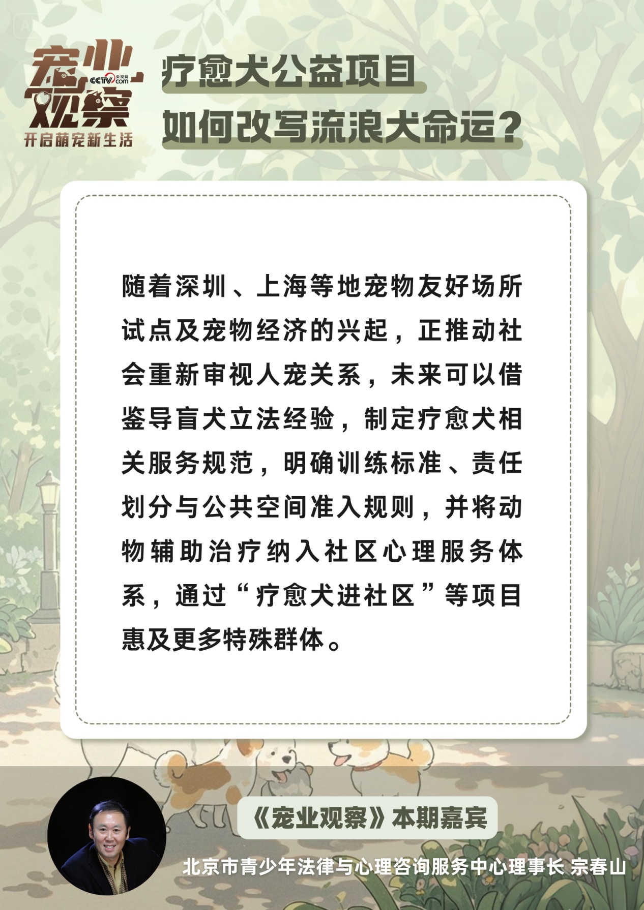 图说 | 疗愈犬公益项目,如何改写流浪狗狗的命运? 图说 | 疗愈犬公益项目,如何改写流浪狗狗的命运?