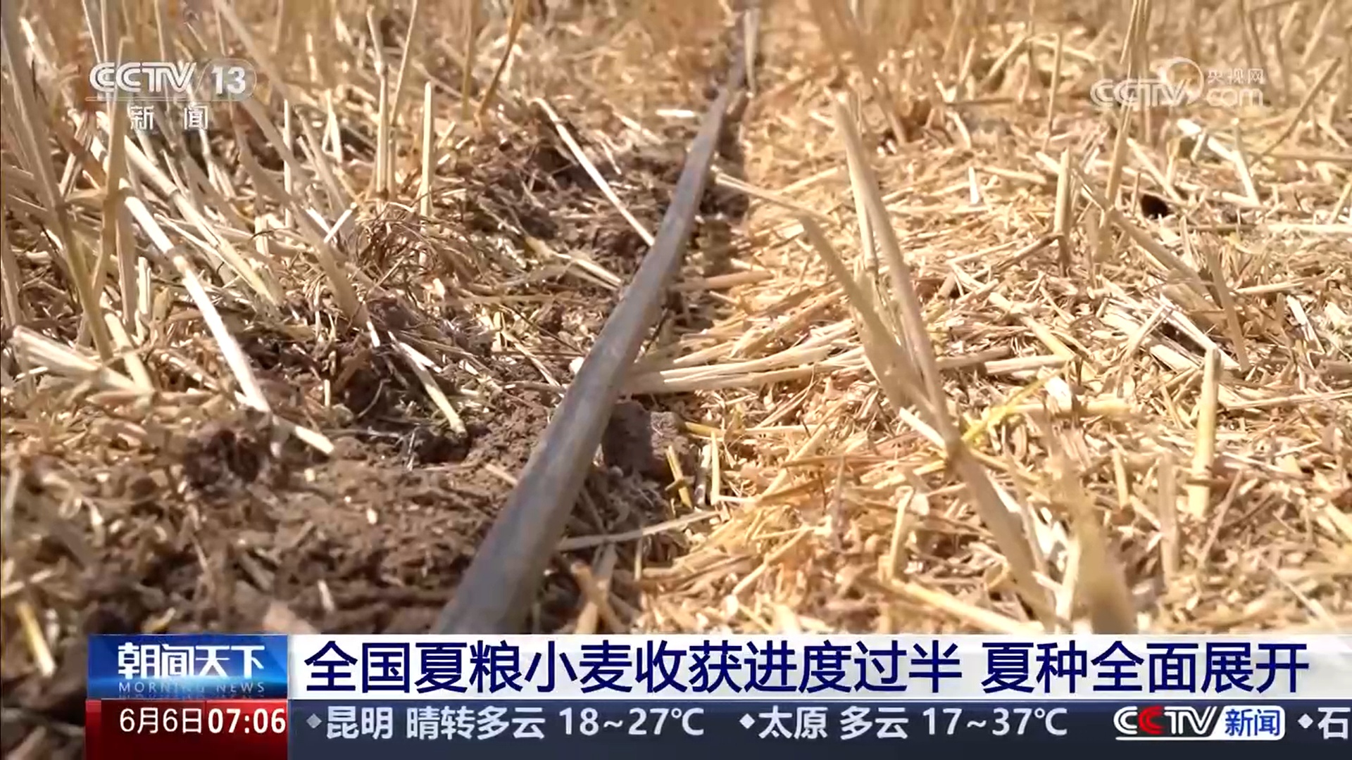 共享晒粮点、快速烘干 、24小时为农服务 各地推出暖心举措服务夏收 共享晒粮点、快速烘干 、24小时为农服务 各地推出暖心举措服务夏收