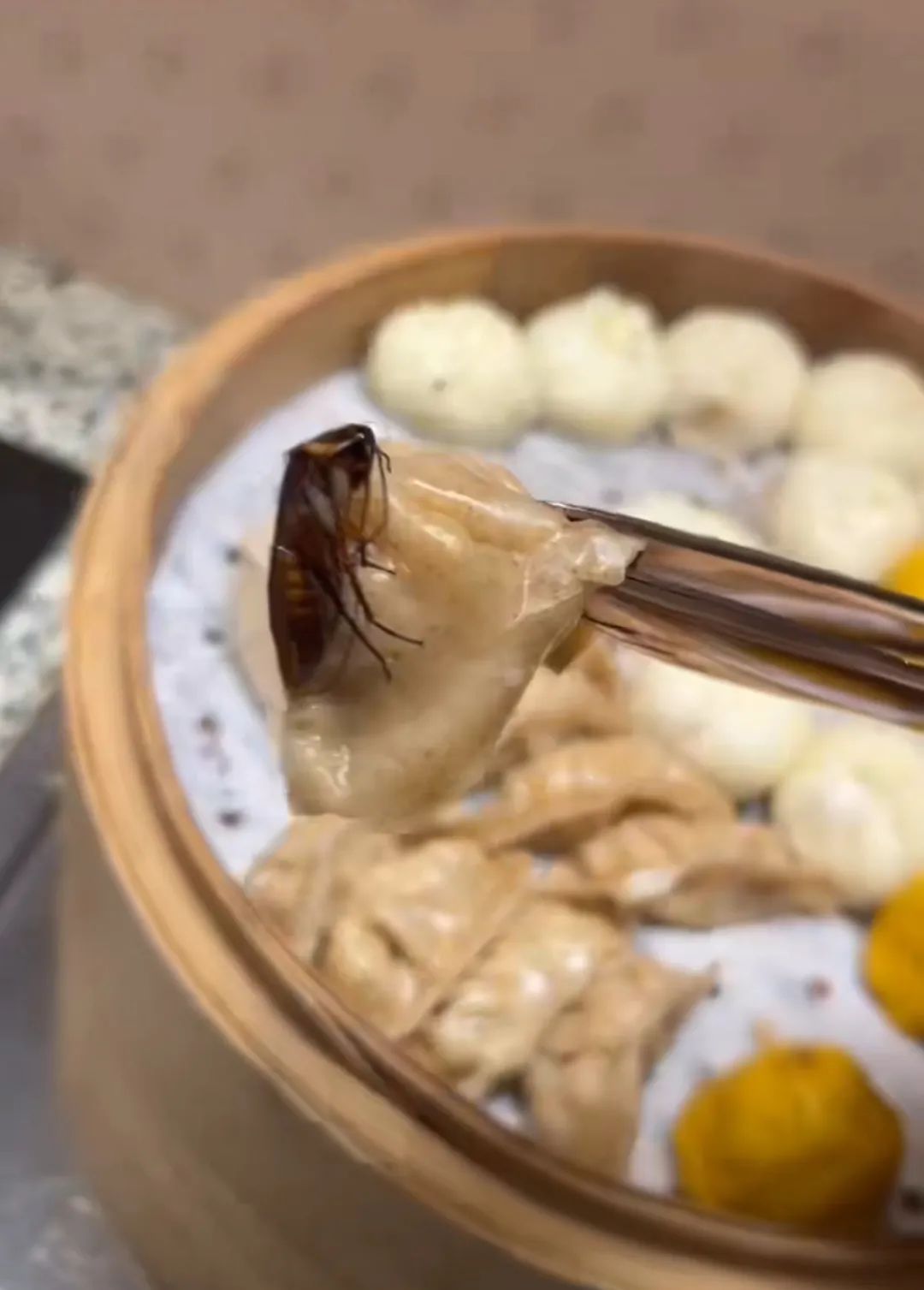 游客在长沙一酒店吃出蒸熟蟑螂,酒店称赔偿200元,当地市监部门介入 游客在长沙一酒店吃出蒸熟蟑螂,酒店称赔偿200元,当地市监部门介入