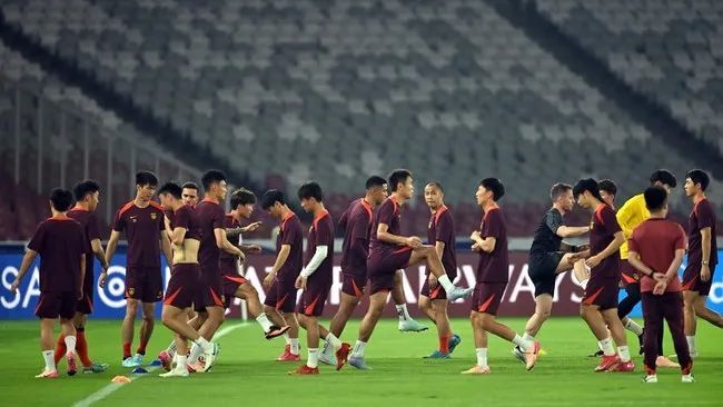 时隔68年再次输给印尼，国足队长王大雷：球队踢得很顽强，但有些东西我们没法控制