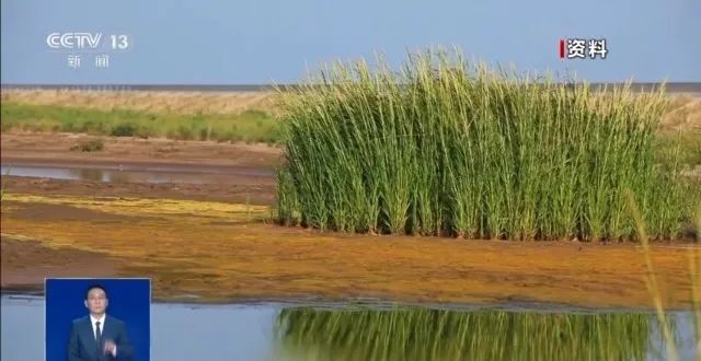 你知道吗?养“异宠”或将危害国家安全 你知道吗?养“异宠”或将危害国家安全