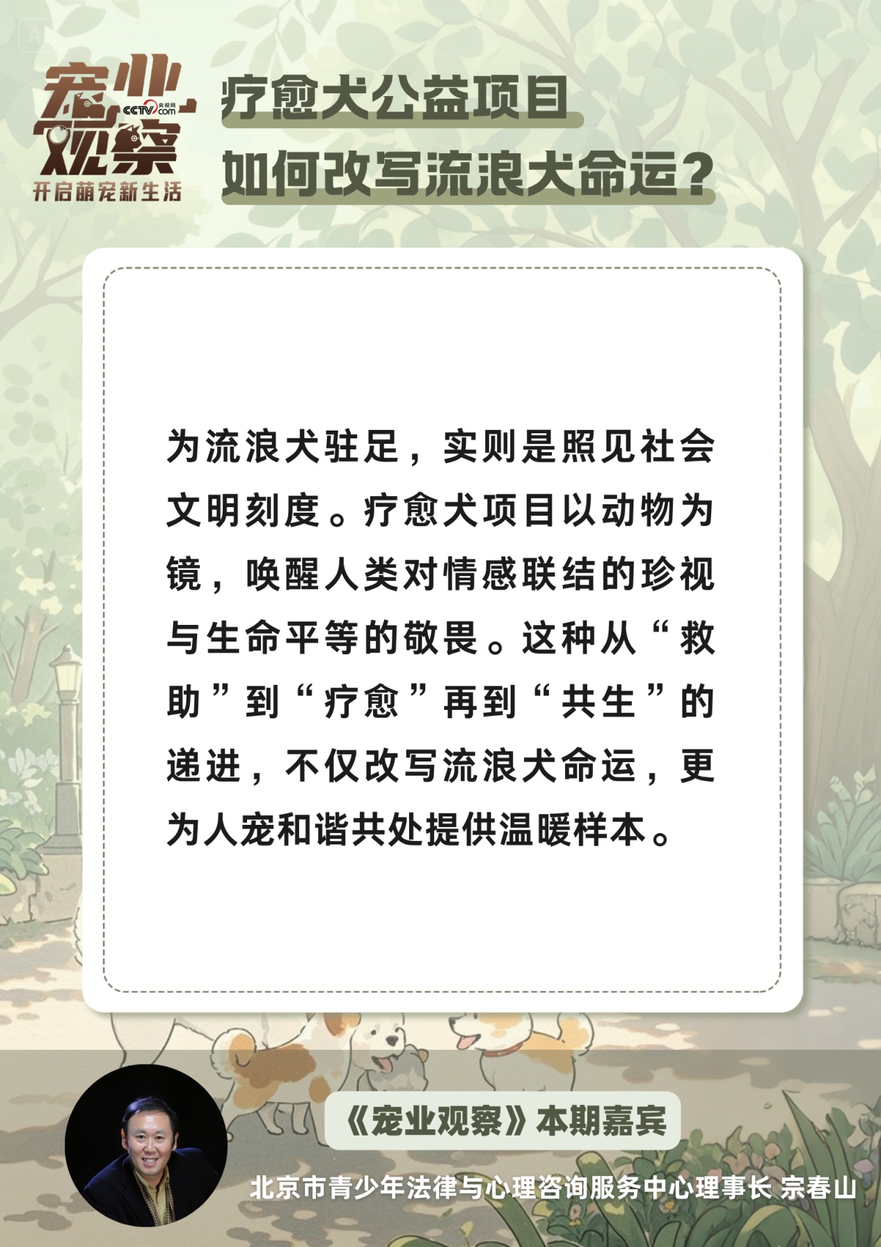 图说 | 疗愈犬公益项目,如何改写流浪狗狗的命运? 图说 | 疗愈犬公益项目,如何改写流浪狗狗的命运?