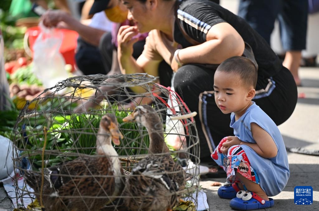海南:山城好物 消费助农 海南:山城好物 消费助农