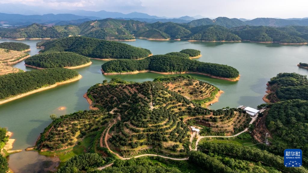 无人机拓路 助“荔”飞达 无人机拓路 助“荔”飞达