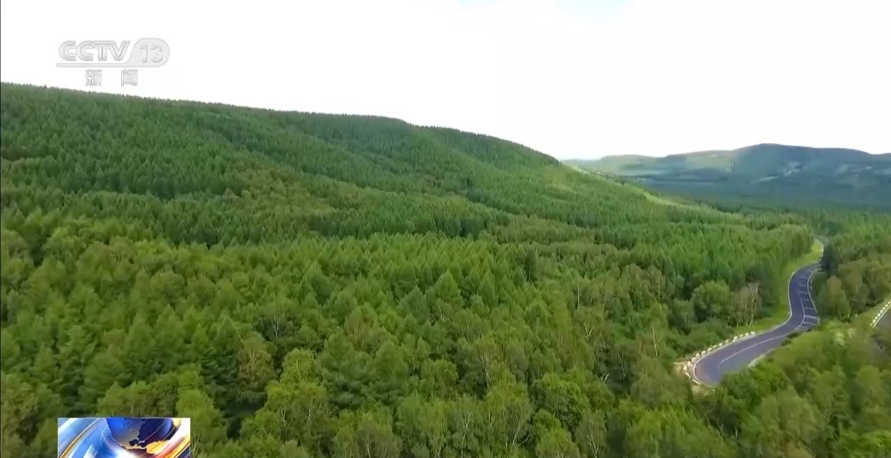 机械治沙造林比例接近50%!“三北”工程攻坚战取得新进展 机械治沙造林比例接近50%!“三北”工程攻坚战取得新进展