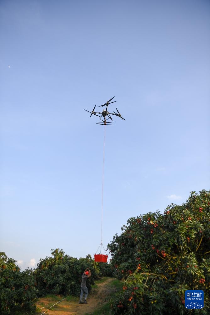 无人机拓路 助“荔”飞达 无人机拓路 助“荔”飞达