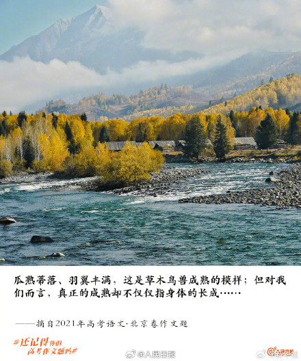 那些难忘的高考作文题目